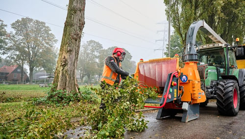 compleet-van-bos-tot-berm-1